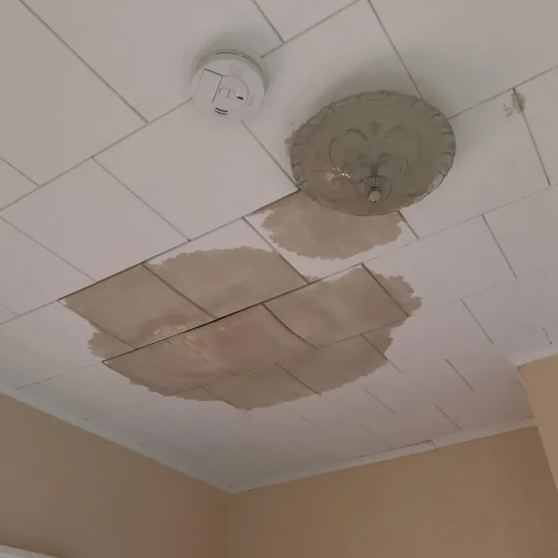 Ceiling Water Damage Repair in Como, MS