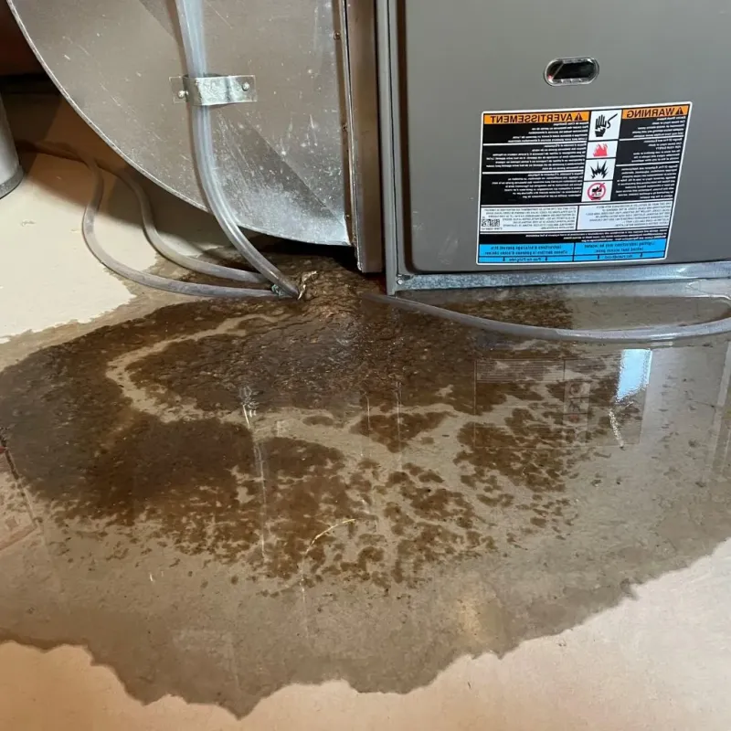 Pipe Burst and Leak Restoration in Como, MS