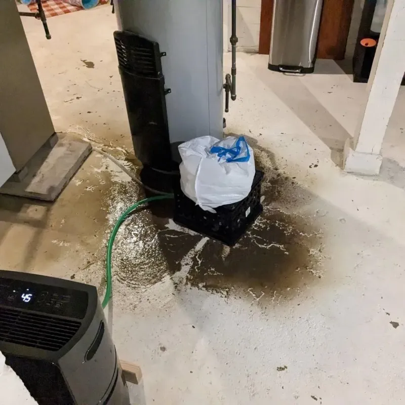 Sewage Backup Cleanup Service in Como, MS